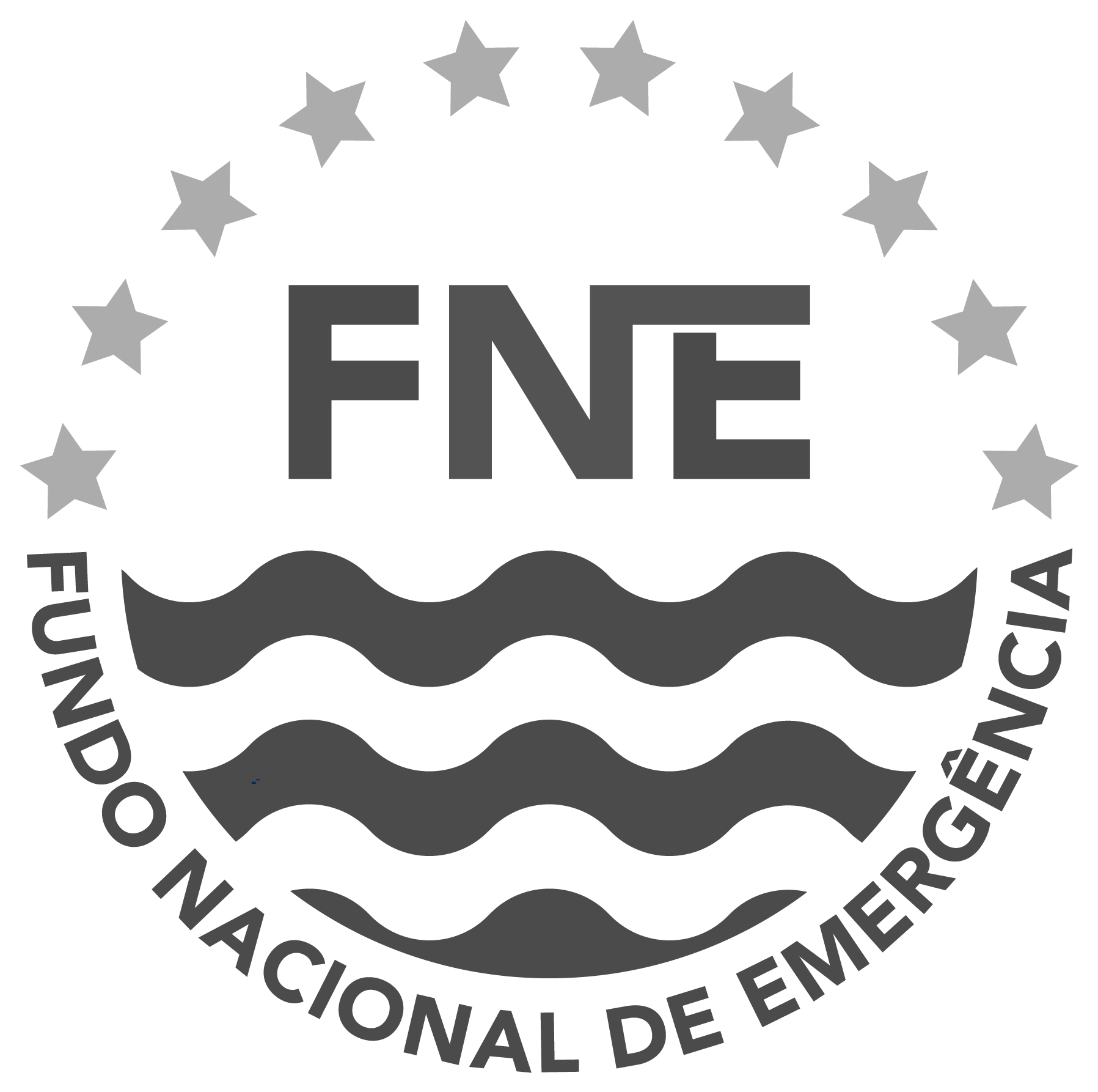 Logo FNE (2)